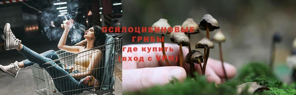 стаф Верхний Тагил