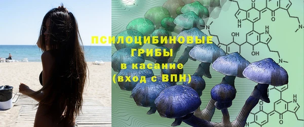 стаф Верхний Тагил