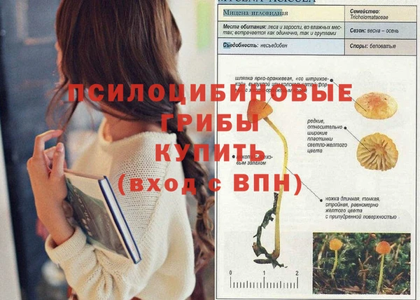 jwh Волоколамск